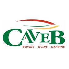 caveb