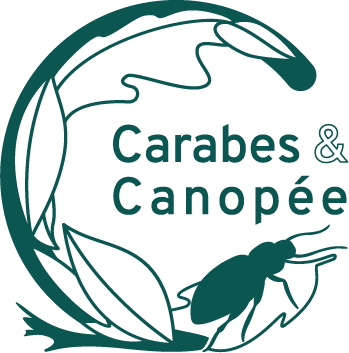 Association Carabes et Canopée