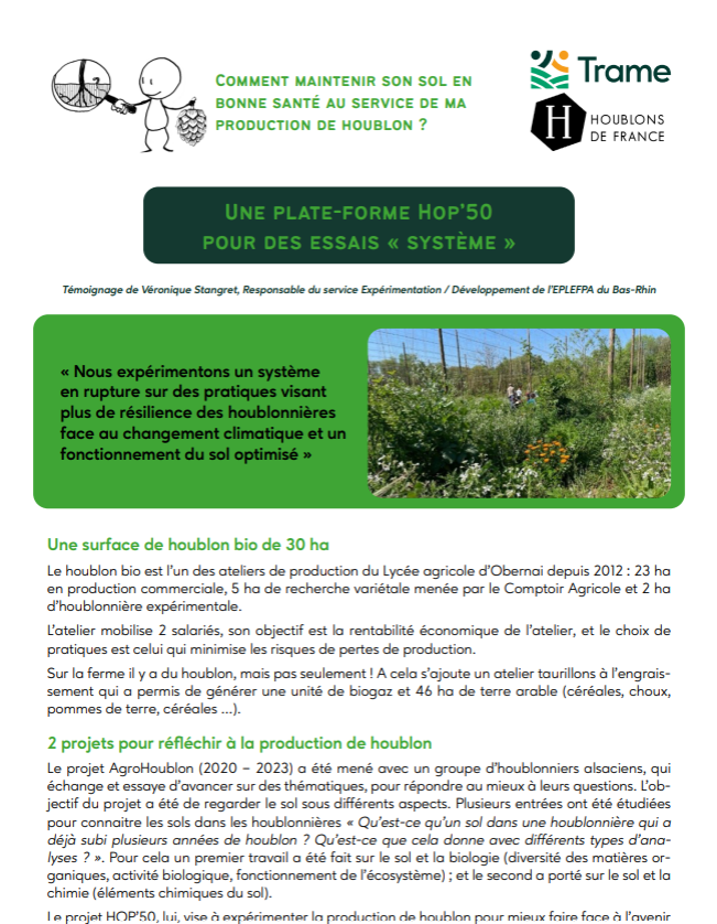 Témoignage de Véronique Stangret : une plateforme pour des essais houblon