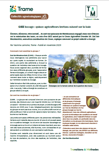 GIEE bocage : quinze agriculteurs bretons misent sur la haie