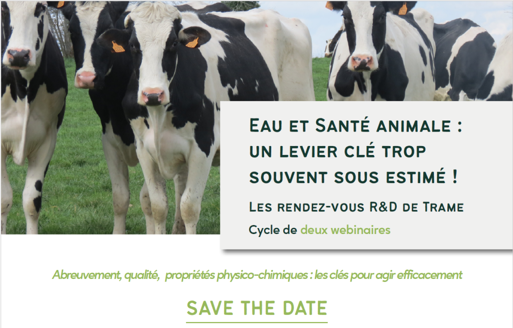 Eau et santé animale