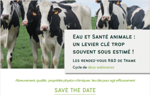 Eau et santé animale