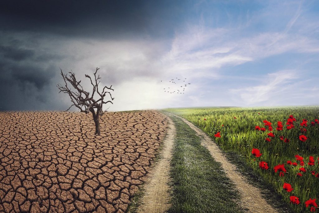Formation changement climat