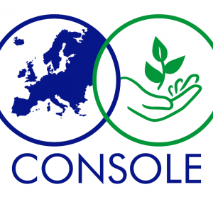 Logo CONSOLE